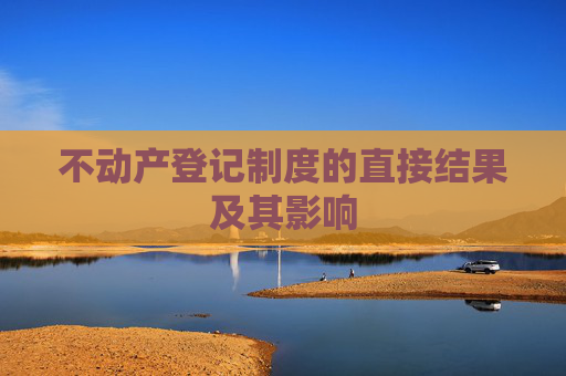 不动产登记制度的直接结果及其影响