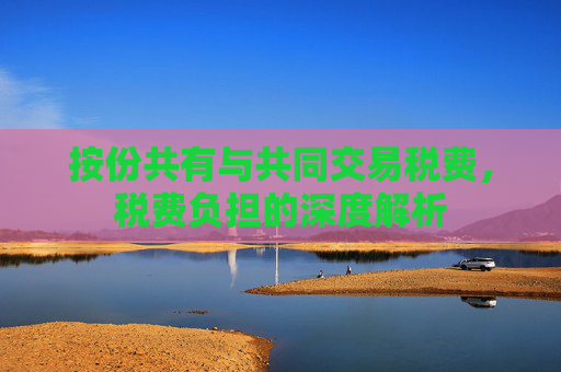 按份共有与共同交易税费，税费负担的深度解析