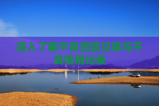 深入了解不良贷款记录与不良信用记录