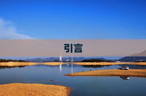 引言