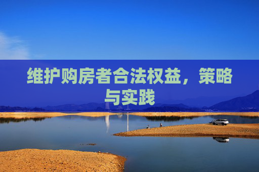 维护购房者合法权益，策略与实践