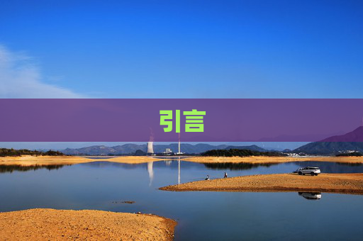 引言