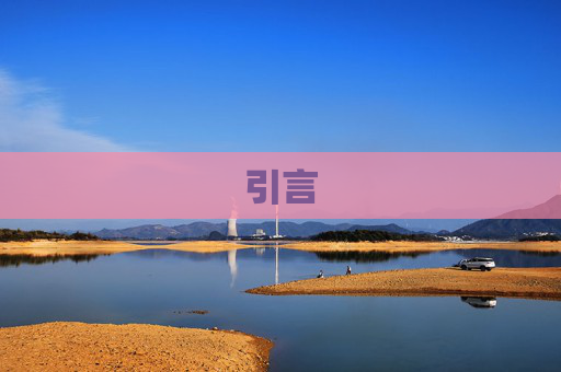 引言