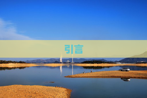 引言