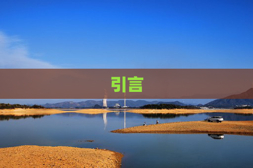 引言