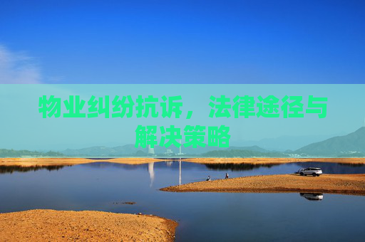 物业纠纷抗诉，法律途径与解决策略
