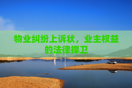 物业纠纷上诉状，业主权益的法律捍卫