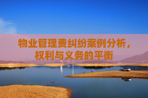 物业管理费纠纷案例分析，权利与义务的平衡