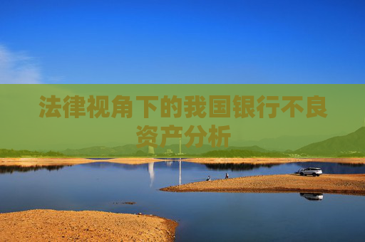 法律视角下的我国银行不良资产分析