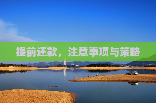 提前还款，注意事项与策略