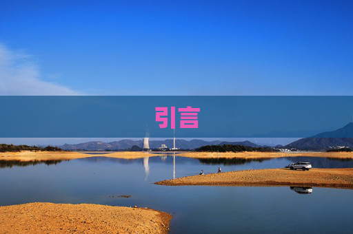 引言