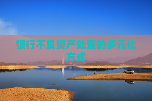 银行不良资产处置的多元化方式