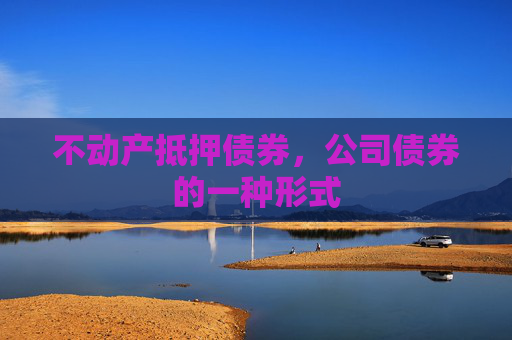 不动产抵押债券，公司债券的一种形式