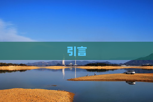 引言