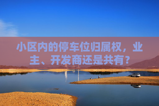 小区内的停车位归属权，业主、开发商还是共有？