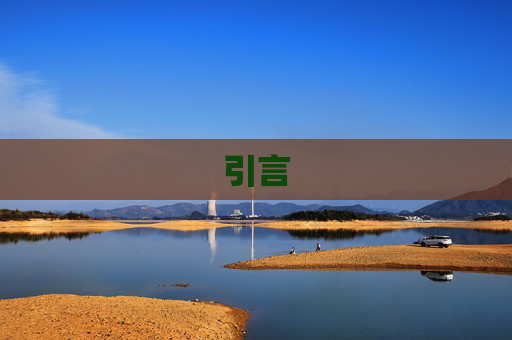 引言