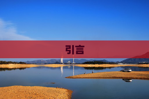 引言
