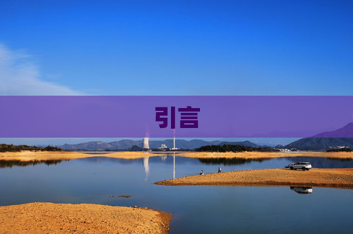 引言