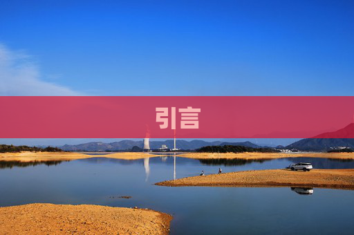 引言