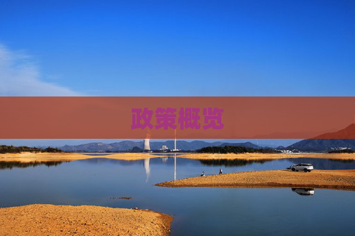 政策概览