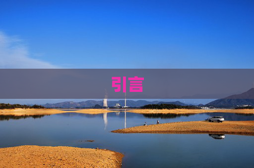引言