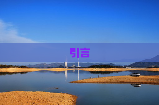 引言