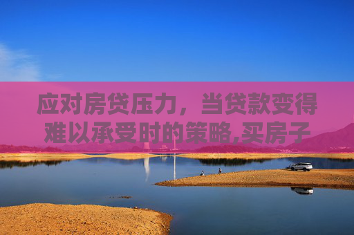 应对房贷压力，当贷款变得难以承受时的策略,买房子贷款还不起了怎么办？