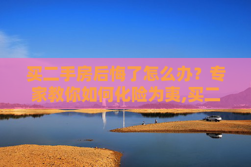 买二手房后悔了怎么办？专家教你如何化险为夷,买二手房后悔了怎么办