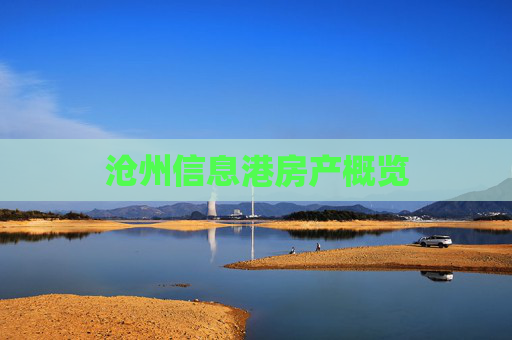 沧州信息港房产概览
